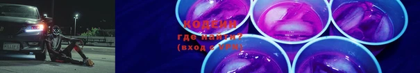 шишки Переславль-Залесский