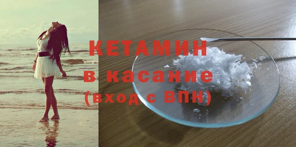 шишки Переславль-Залесский