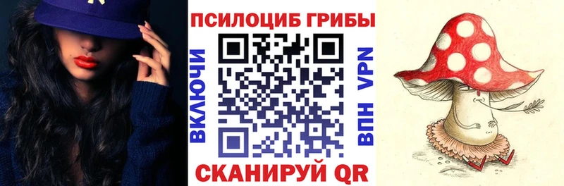 дарк нет официальный сайт Исилькуль Галлюциногенные грибы GOLDEN TEACHER